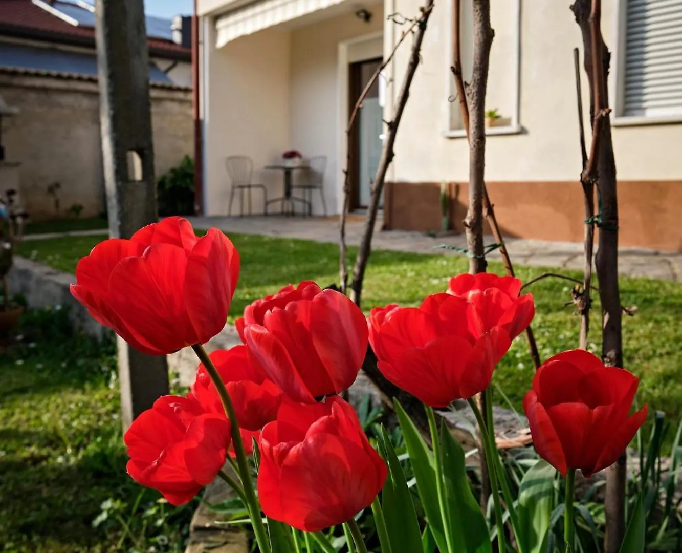 La Casa Dei Nonni Apartment Ferno
